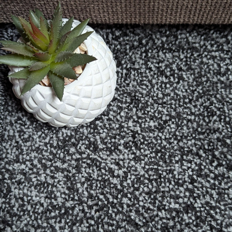 Velo Twist Anthracite Carpet Velo Twist Anthracite Carpet