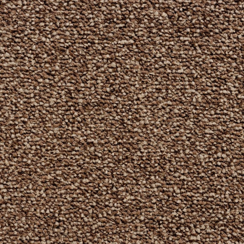 Baywood Chestnut Carpet Flooring
