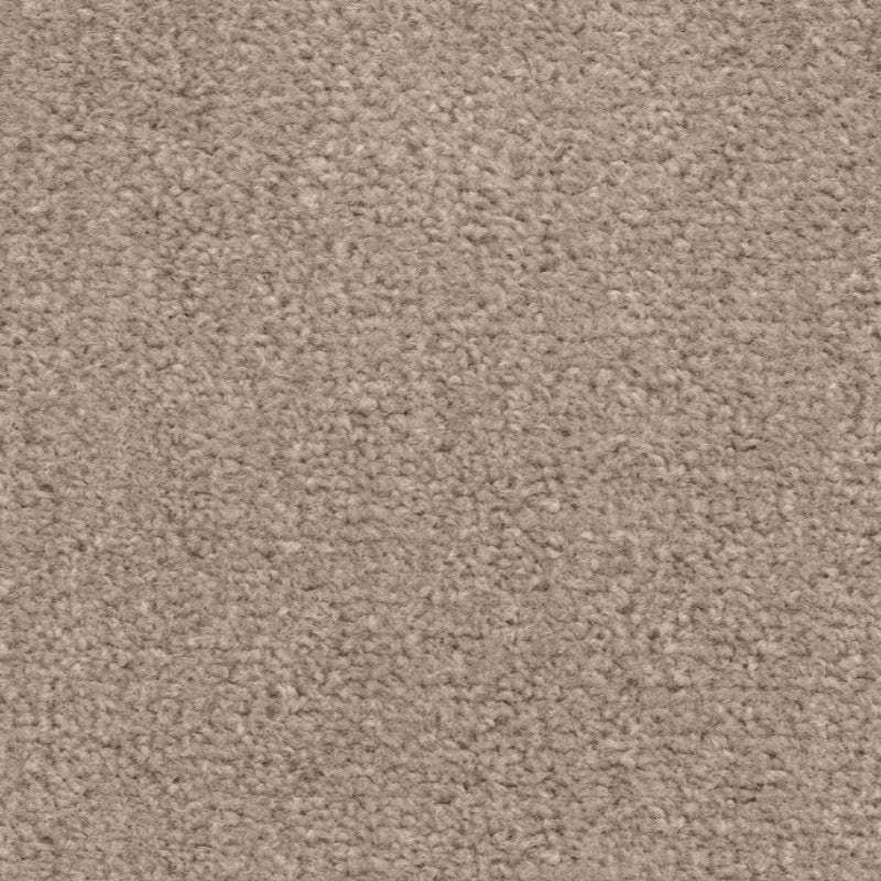 Brown Twist Pile Carpet