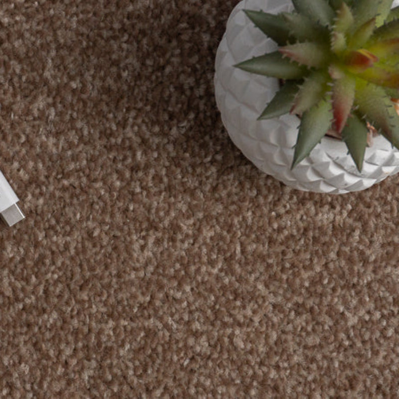 Campiro Saxony Brown Carpet Campiro Saxony Brown Carpet