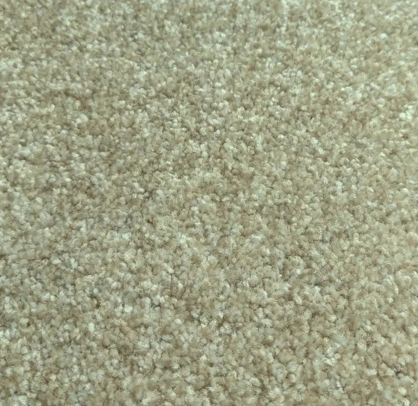 Oatmeal Thick Carpets