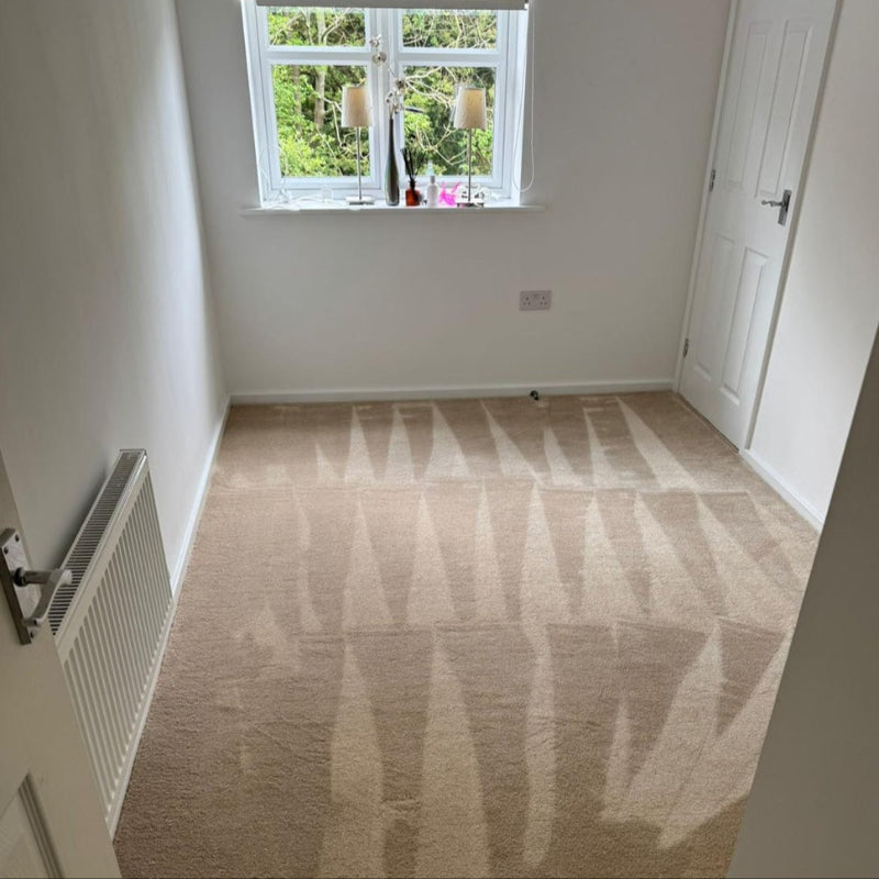 Dreams Creme 20mm Thick Carpet Dreams Creme 20mm Thick Carpet