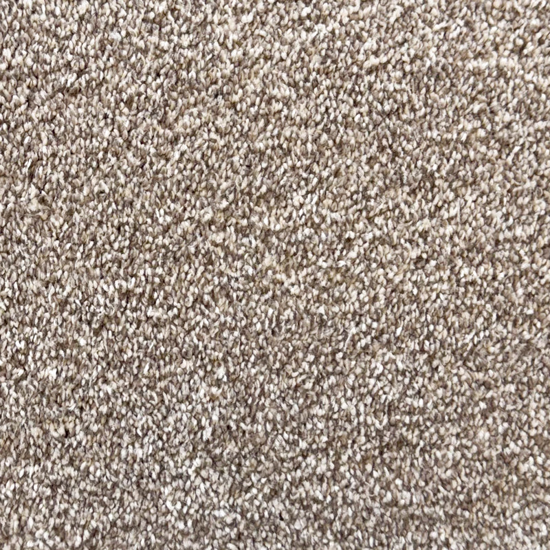 Kinomi Desert Carpet product-1