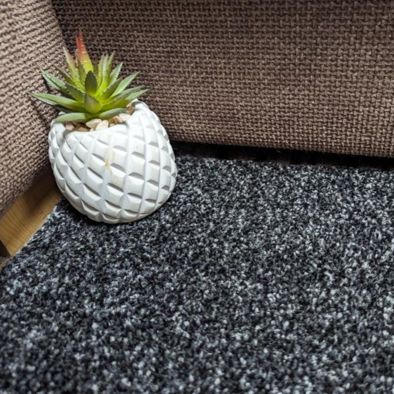 Kingston Saxony Light Anthracite Rollend Carpet product-2