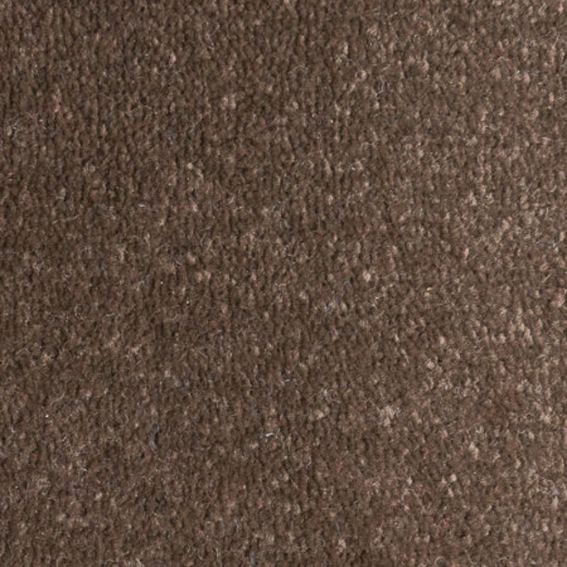 Lifestyle Floors Firework Flare Carpet