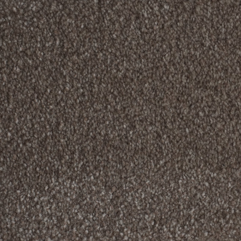 Flynn Biscuit Neutral Carpet Flynn Biscuit Neutral Carpet