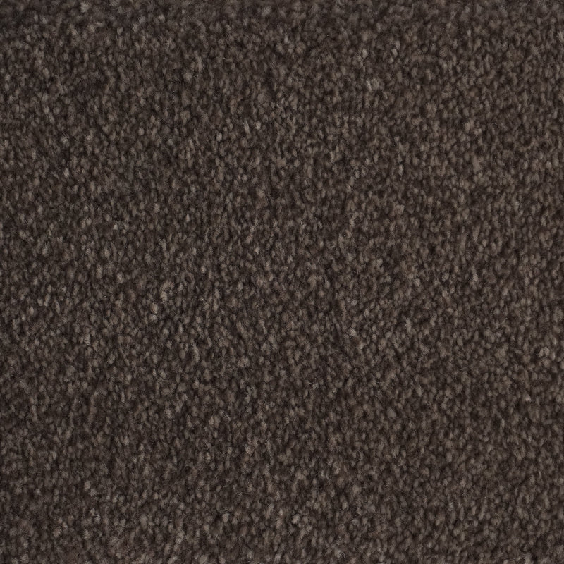 Flynn Oak Brown Carpet