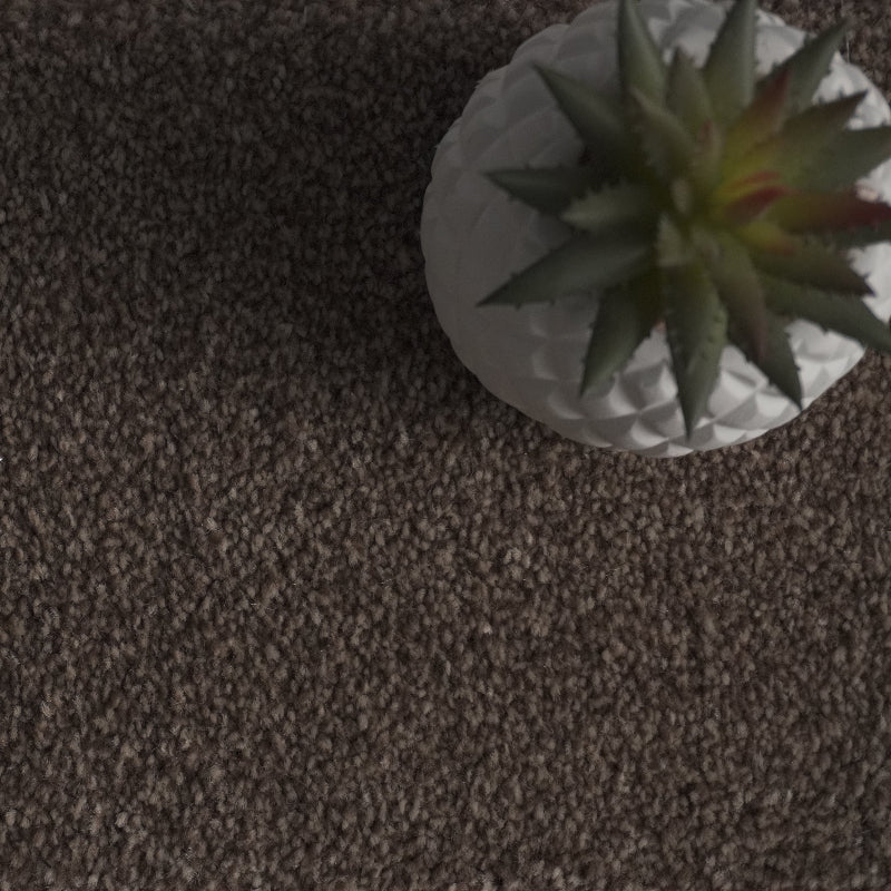 Flynn Oak Brown Carpet Flynn Oak Brown Carpet