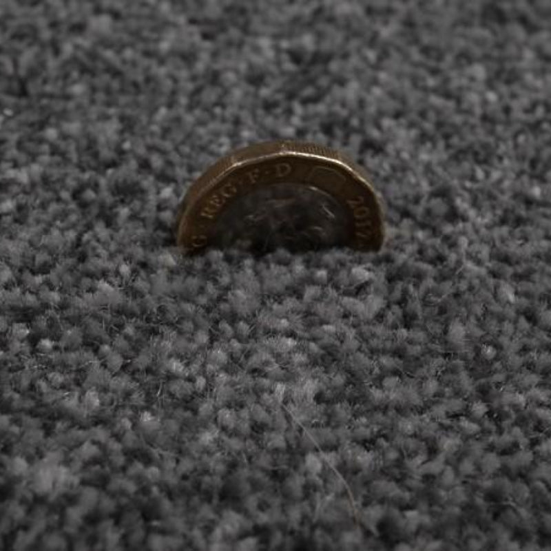 Grangewood Pewter Grey Carpet product-2