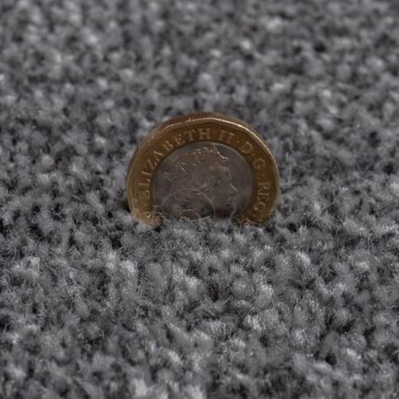 Kingston Saxony Biscuit Carpet