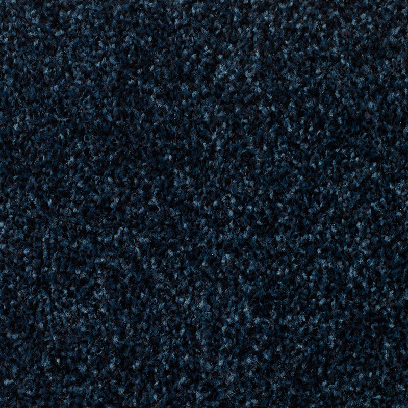 Hibex Blue Carpet