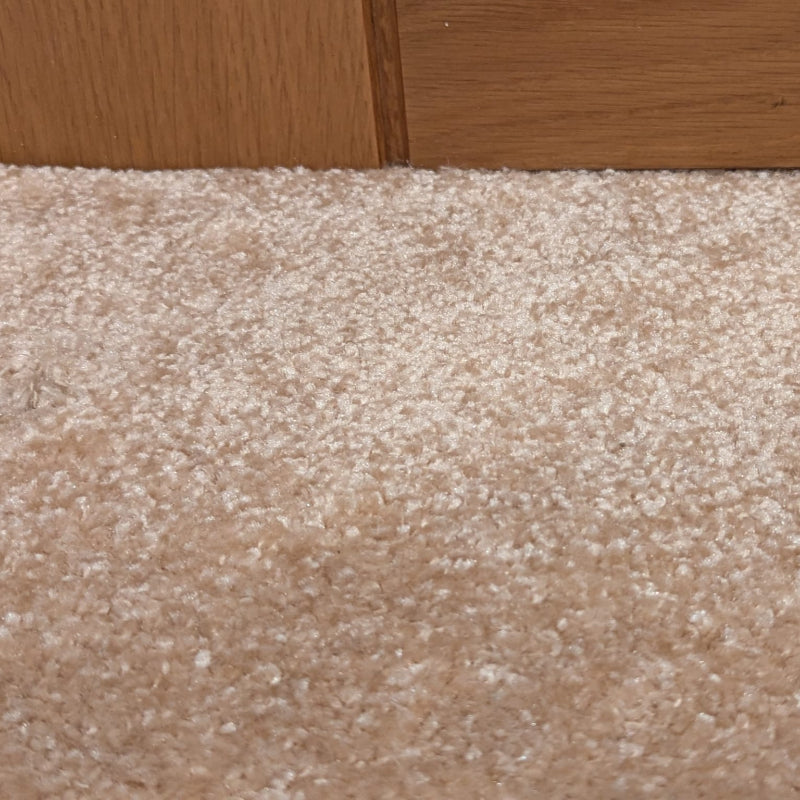 Princeton Honey Twist Pile Carpet product-2