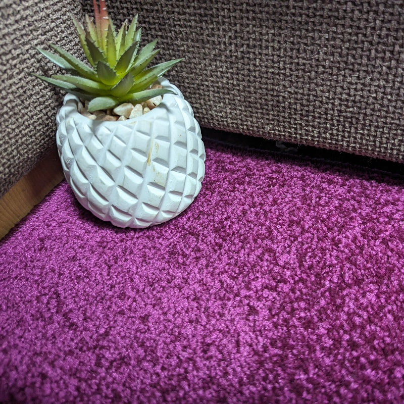 INVI Plum Purple Carpet INVI Plum Purple Carpet