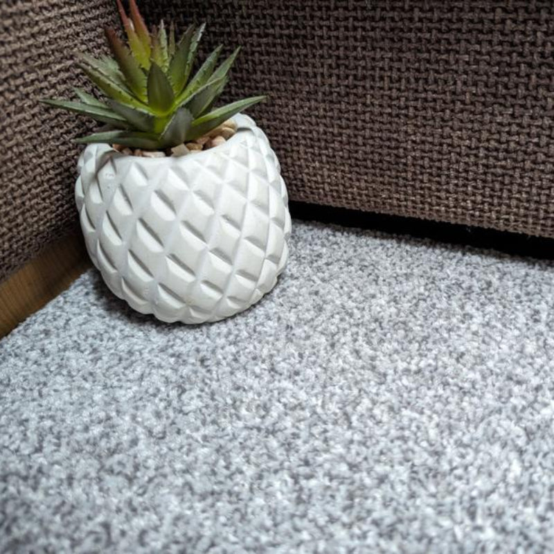 Kingston Saxony Grey Carpet product-1