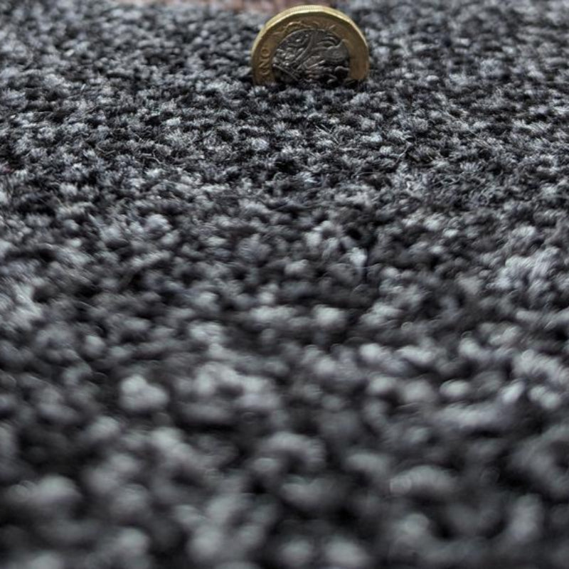 Kingston Saxony Light Anthracite Carpet