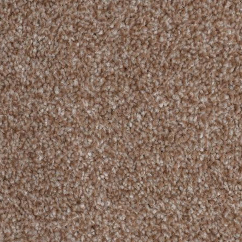 Kingston Saxony Light Brown Carpet