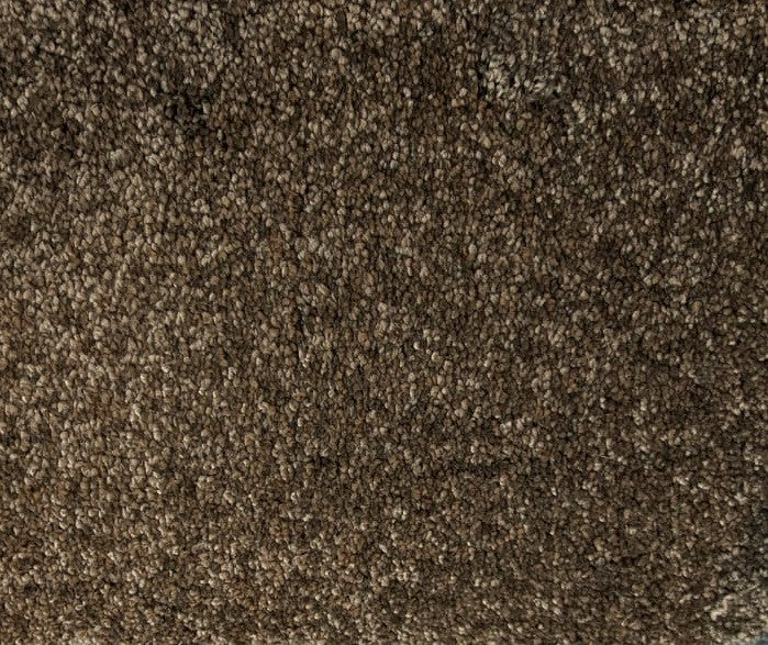 Thick Brown Carpet