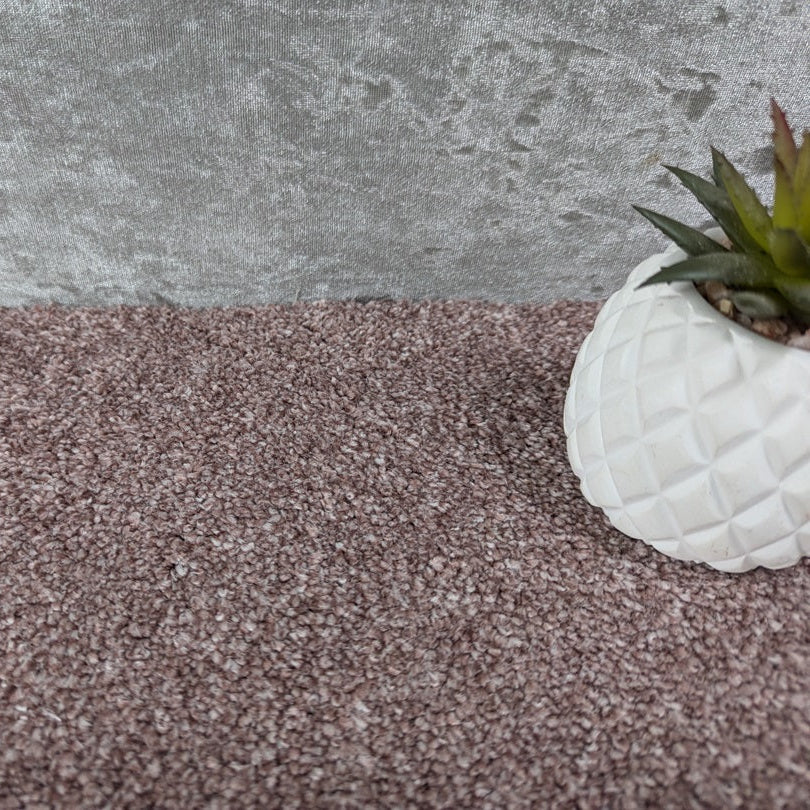 Lavender Carpet product-2