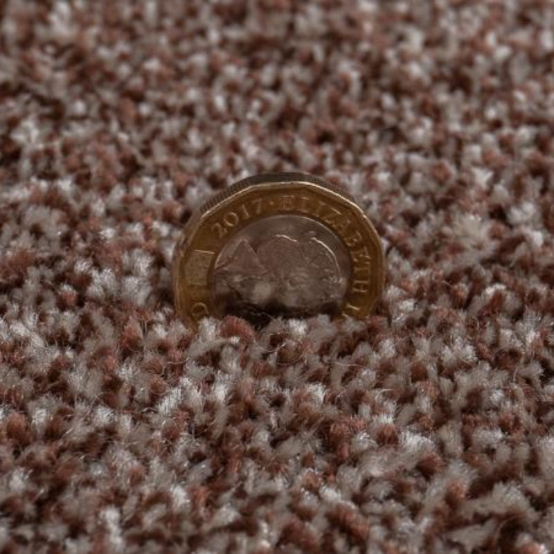 Luxury Brown Saxony Carpet