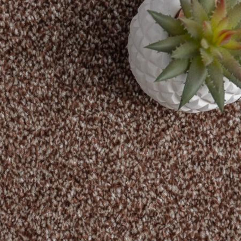 Luxury Brown Saxony Carpet