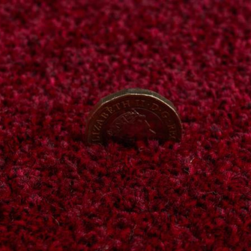 Luxury Burgundy Saxony Carpet product-2