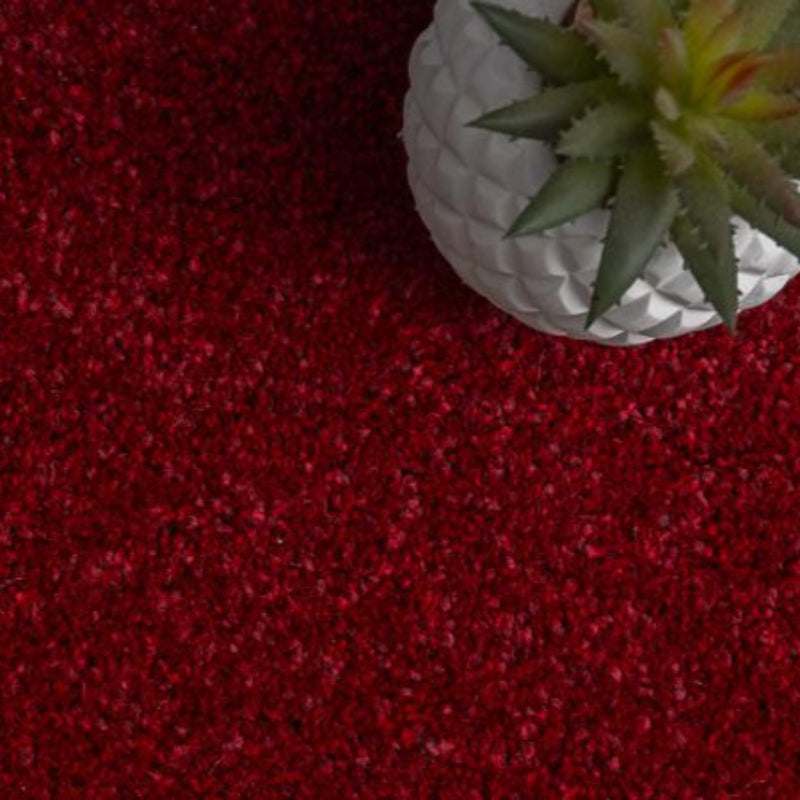 Luxury Burgundy Saxony Carpet product-3