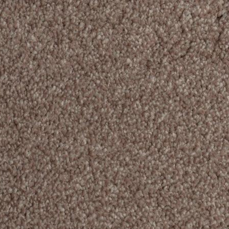 Luxury Neutral Saxony Carpet