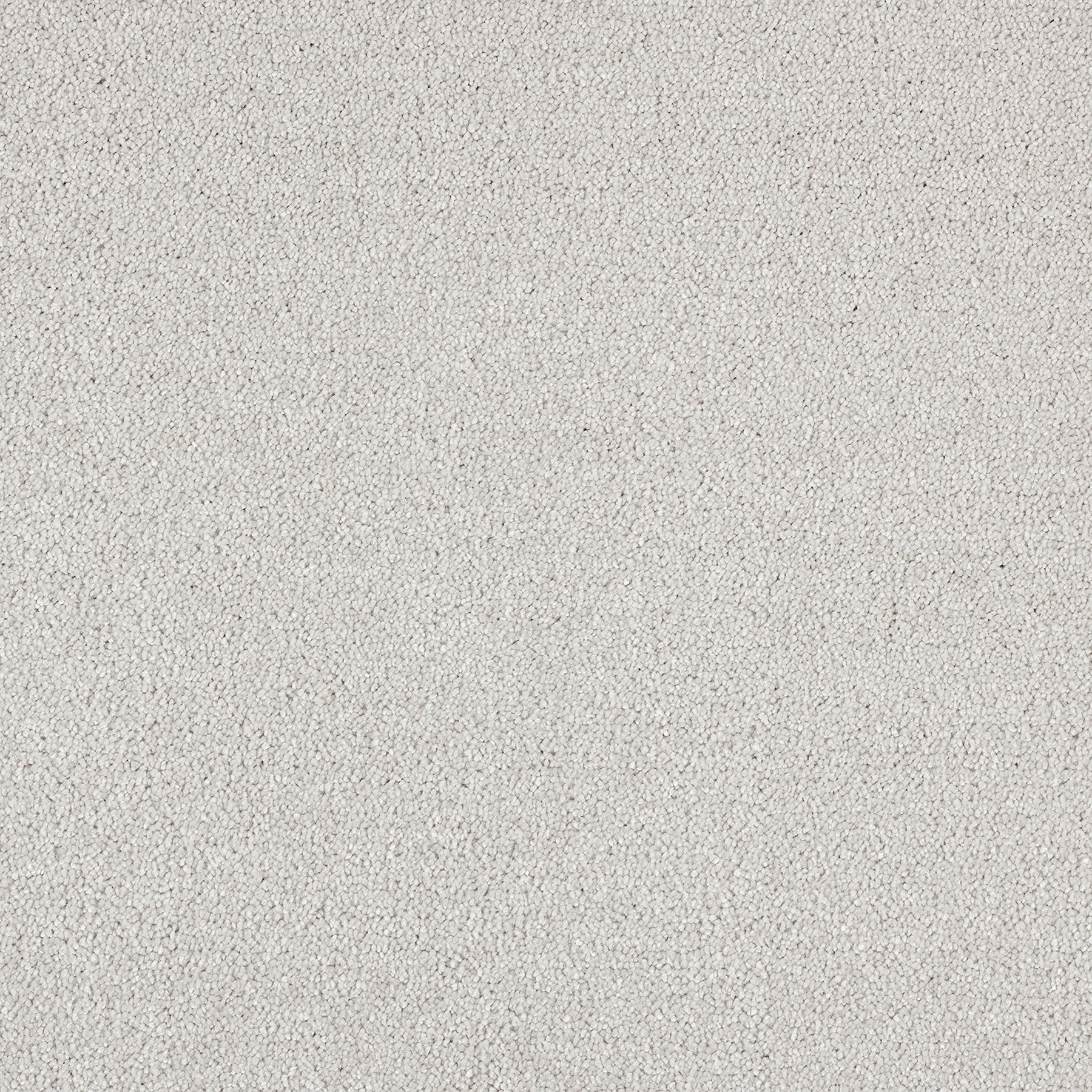 Invictus Magnificus Saxony Carpet 09 product-2