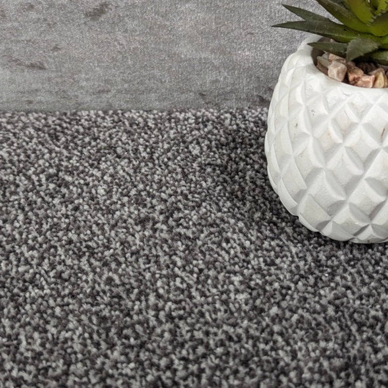 SCS Supreme Slate Thick Carpet SCS Supreme Slate Thick Carpet