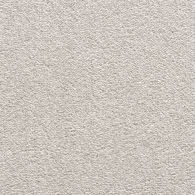 Perro Taupe Colour Carpet Perro Taupe Colour Carpet