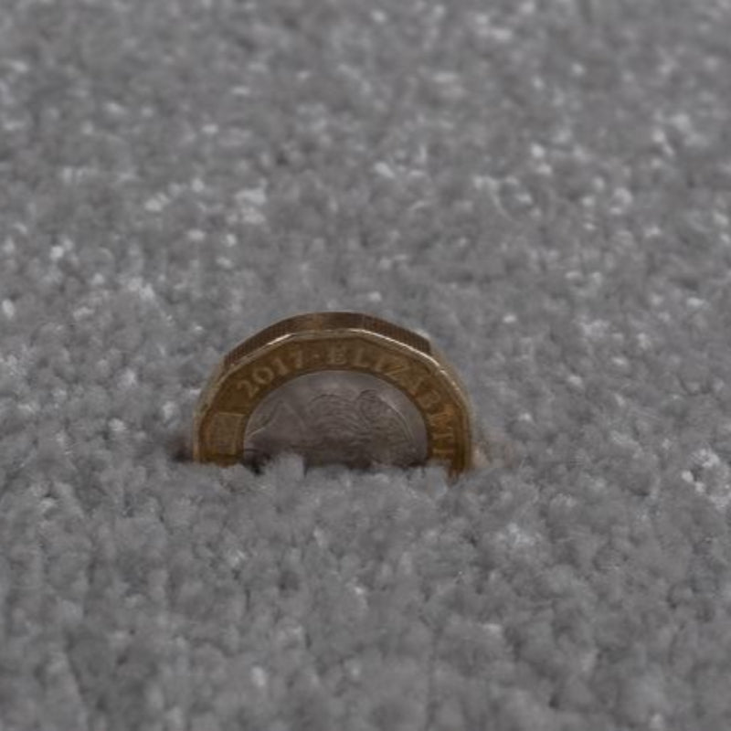 Rich Decadence 274 Grey Carpet product-2