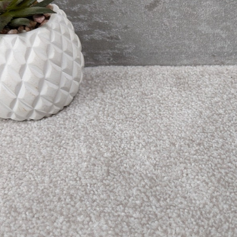 SCS Olympia Saxony Cream Carpet SCS Olympia Saxony Cream Carpet