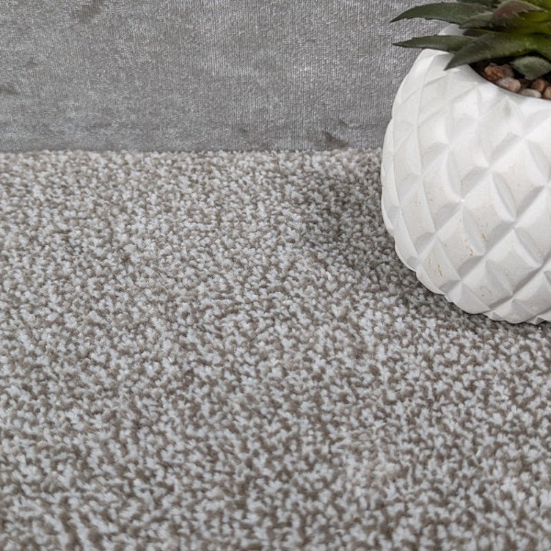 SCS Olympia Neutral Saxony Hardwearing Carpet