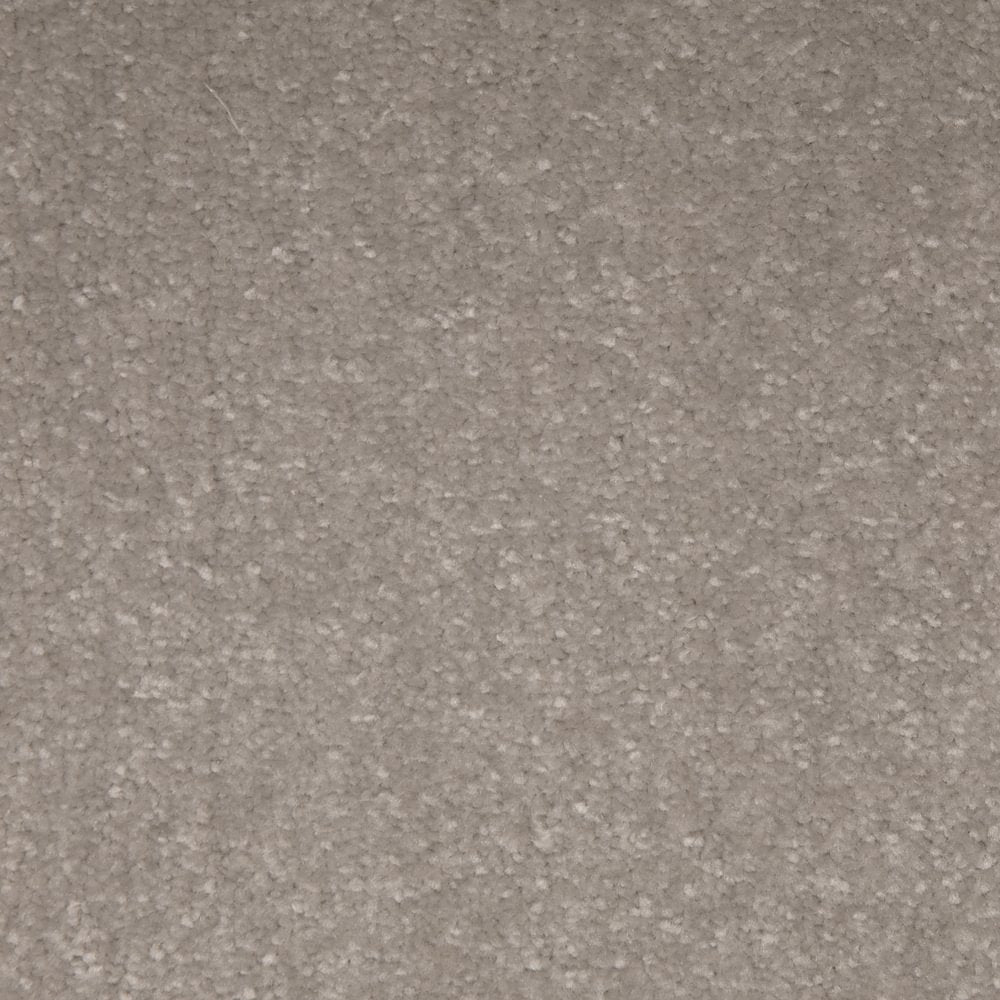 Light Beige Carpet