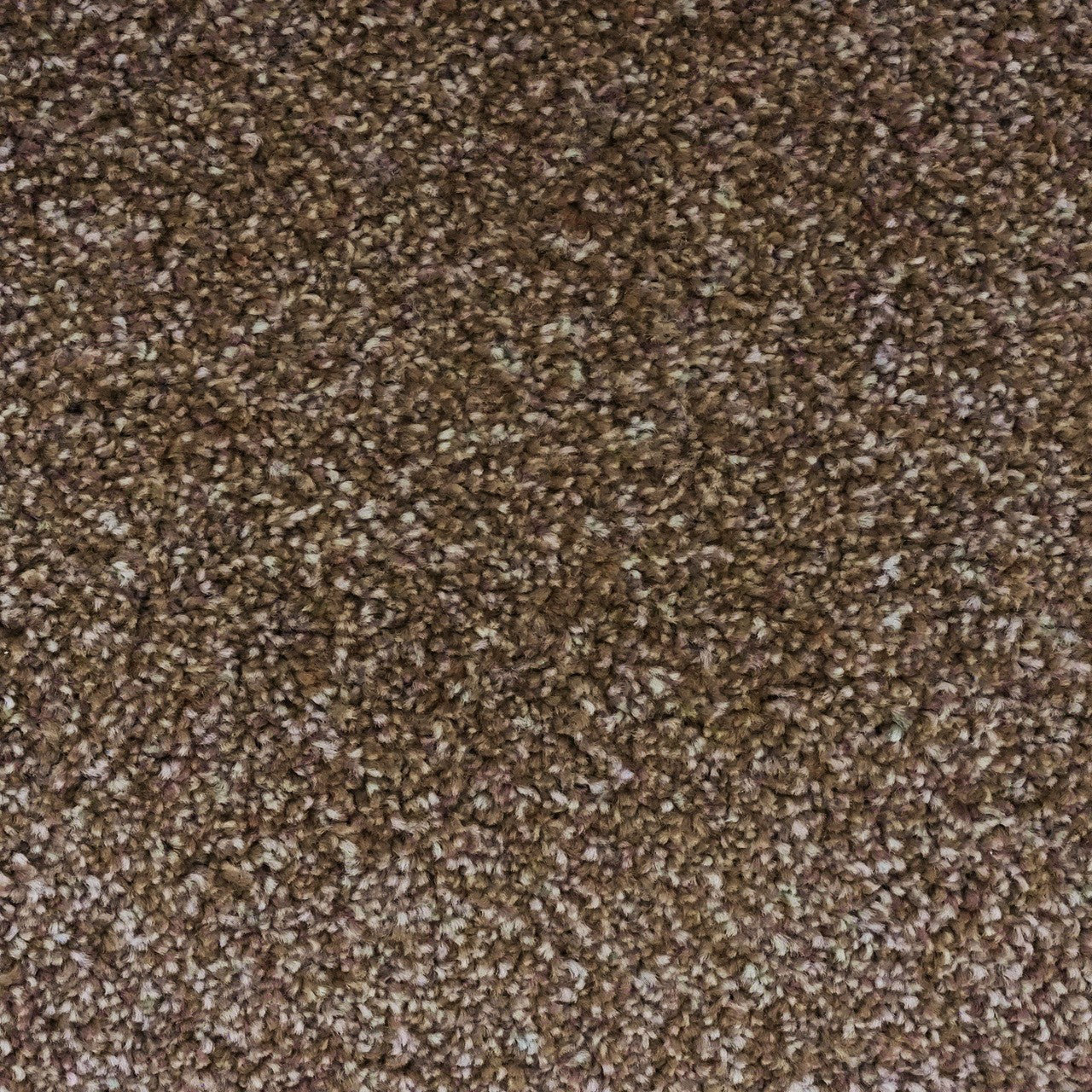 Thick Carpet Brown