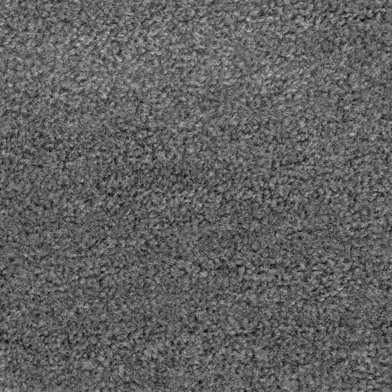 Sands Platinum Carpet Flooring Sands Platinum Carpet Flooring