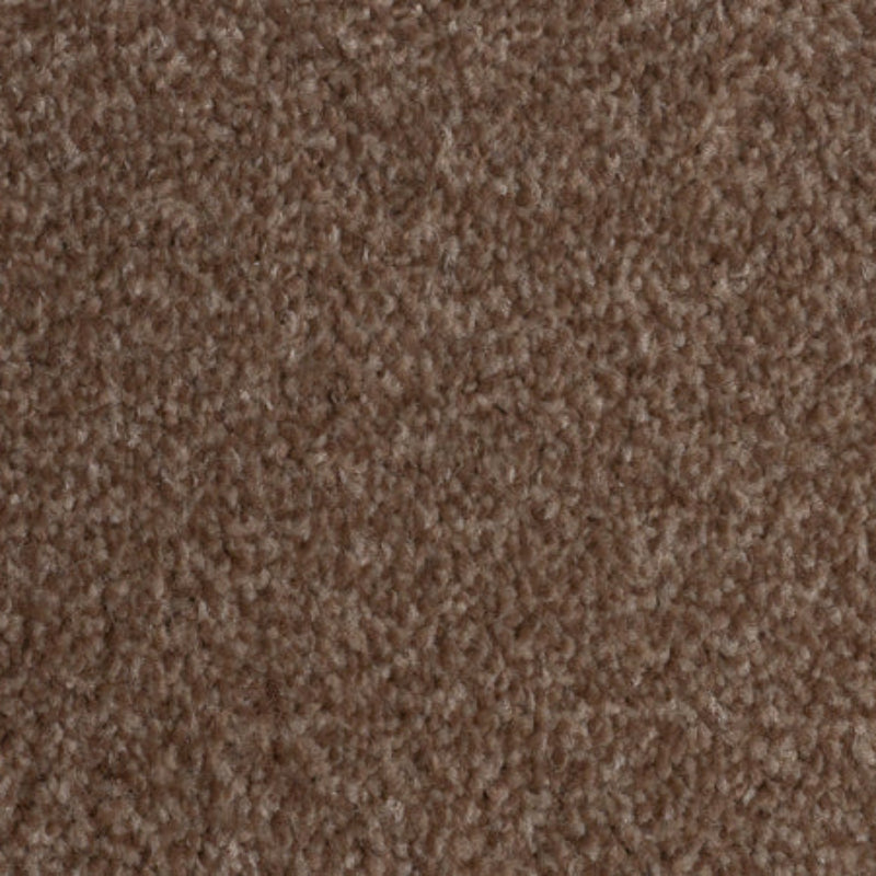 Campiro Saxony Brown Carpet