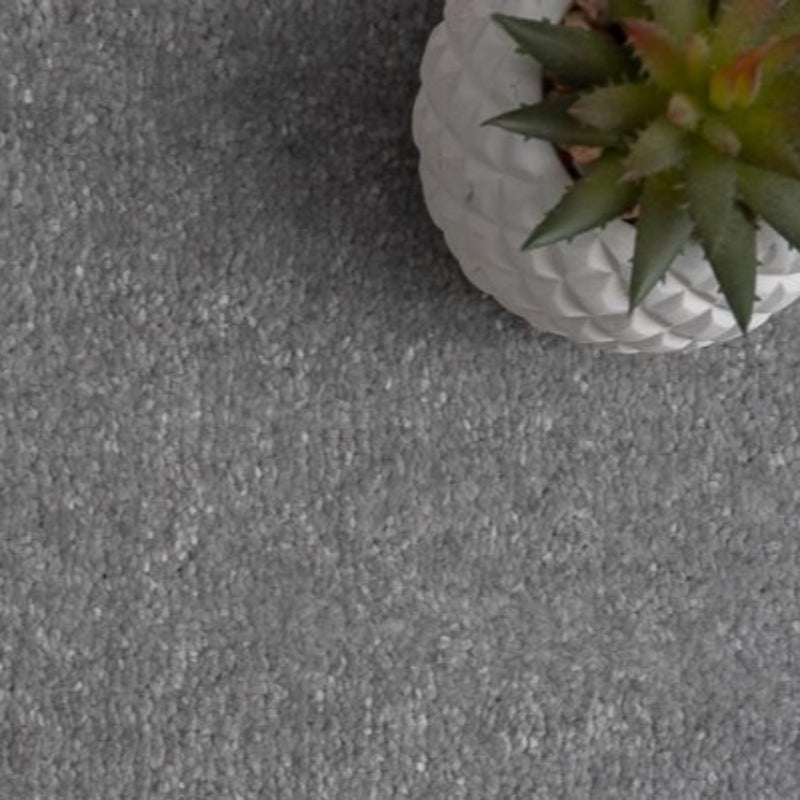 Rich Decadence 274 Grey Carpet