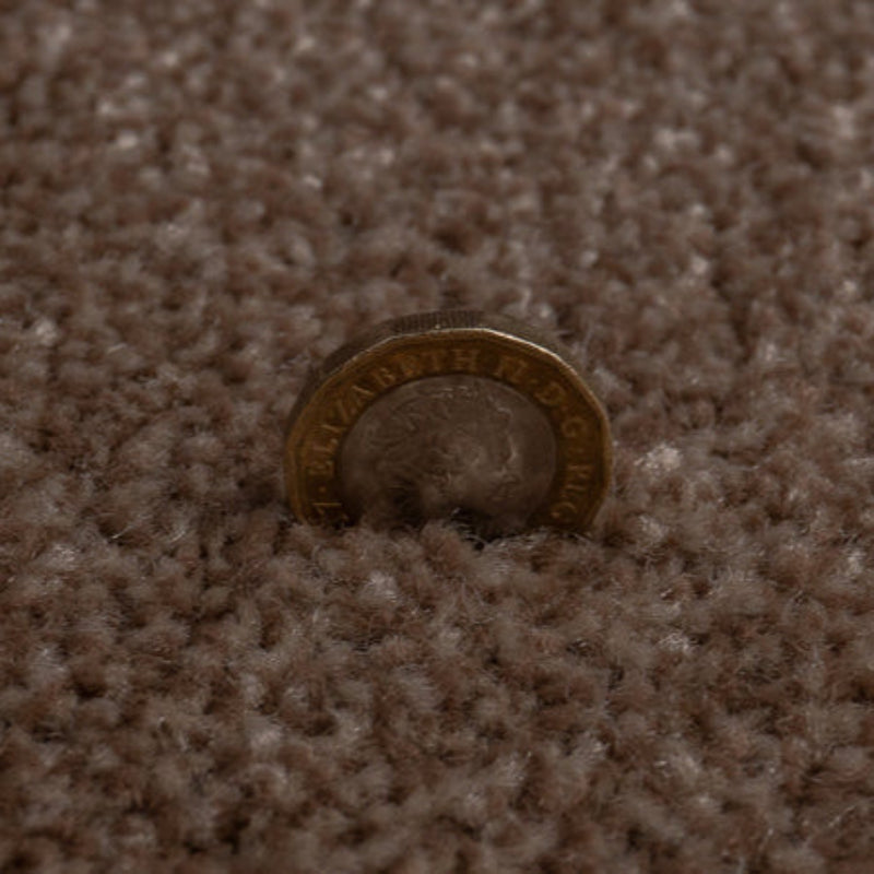 Campiro Saxony Brown Carpet