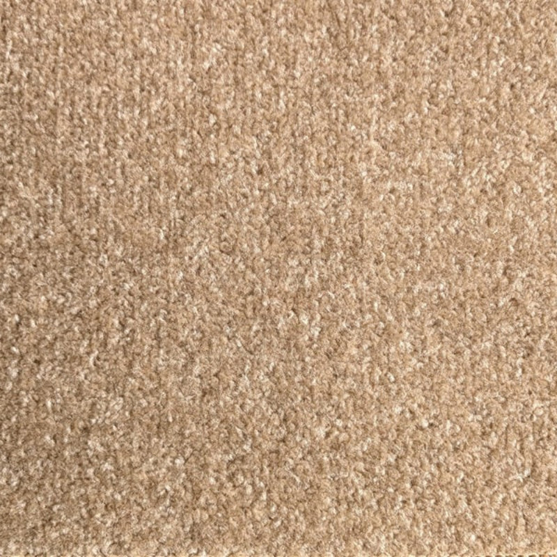 Sprite Twist Pile Carpet Beige Brown Sprite Twist Pile Carpet Beige Brown