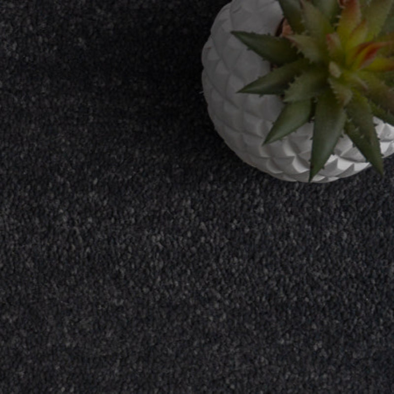 Tennessee Lead Grey Carpet Tennessee Lead Grey Carpet