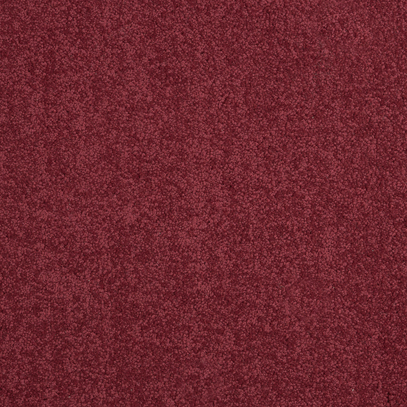 Tennessee Saxony Red Carpet