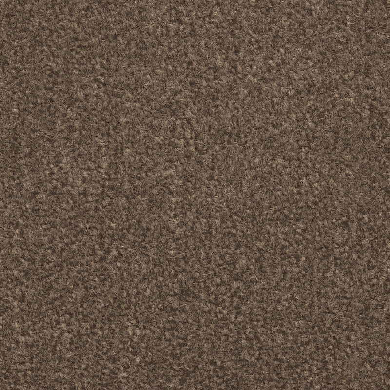 Liberty Twist Coffee Brown Carpet Liberty Twist Coffee Brown Carpet
