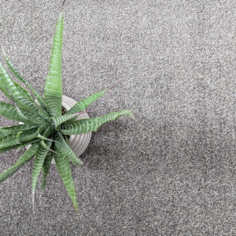 Velo Twist Pewter Grey Carpet