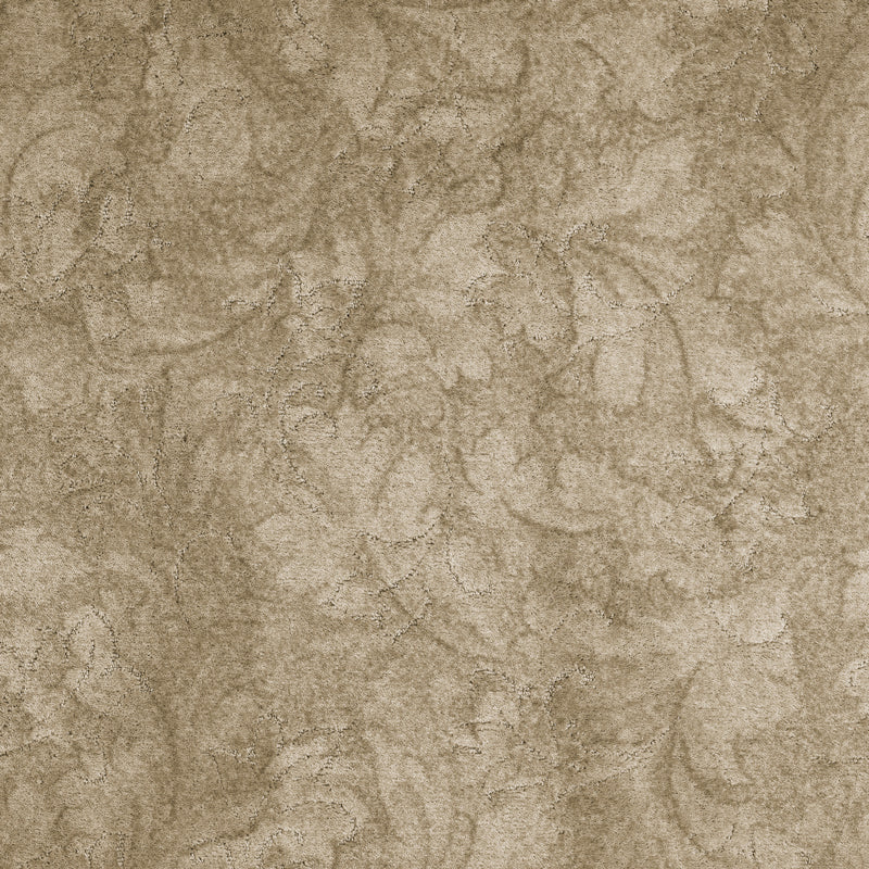 Lifestyle Floors California Dreams Country Beige Carpet Lifestyle Floors California Dreams Country Beige Carpet