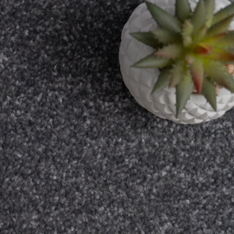 Campiro Saxony Slate Grey Carpet Campiro Saxony Slate Grey Carpet