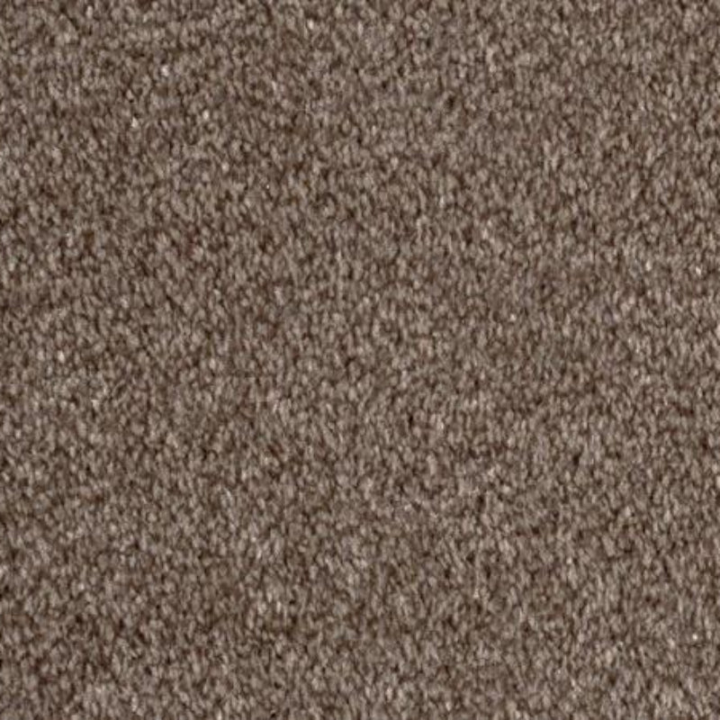Grangewood Cappuccino Saxony Carpet