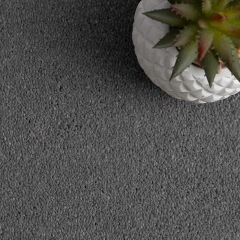 Grangewood Solid Grey Carpet
