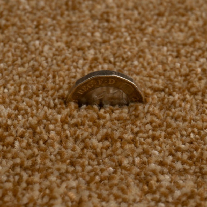 Grangewood Saxony Harvest Gold Carpet