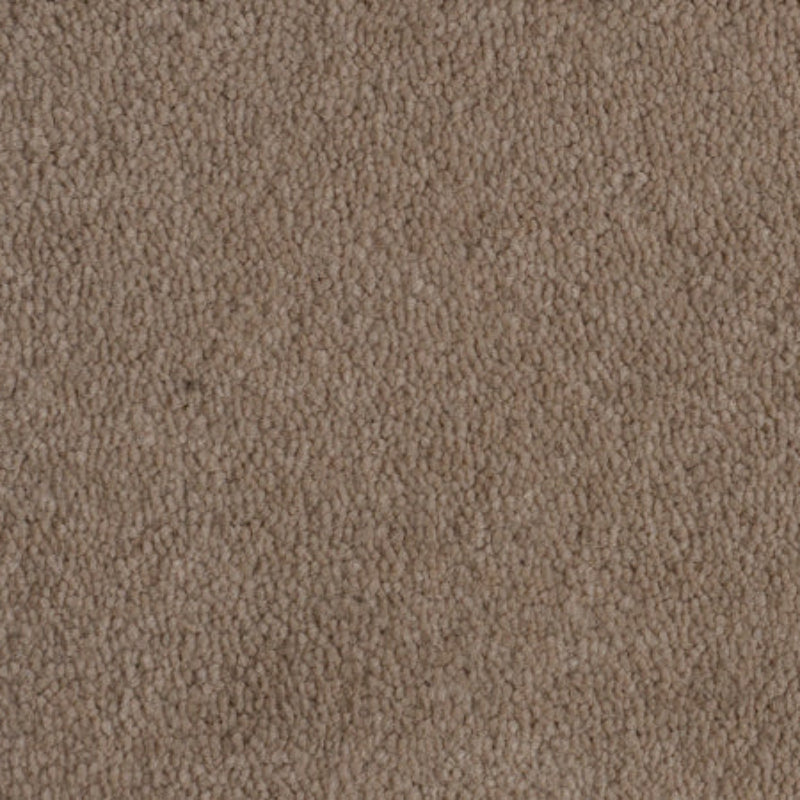 Tennessee Saxony Passion Neutral Thick Carpet Tennessee Saxony Passion Neutral Thick Carpet